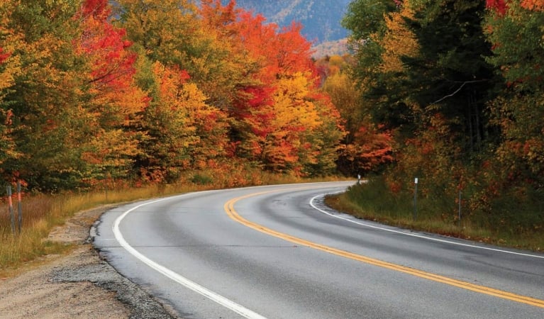 New England Fall Foliage-KEYC TV