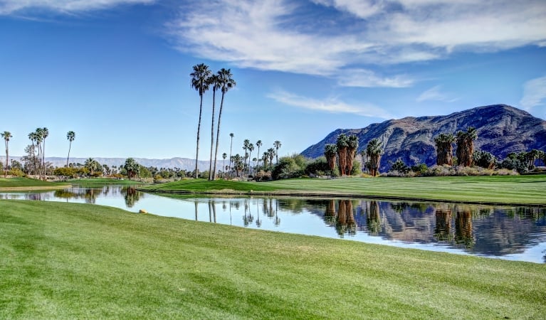 Discover Palm Springs
