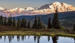 Today a naturalist guide joins us on a journey into the tundra of Denali National Park. Our expert g