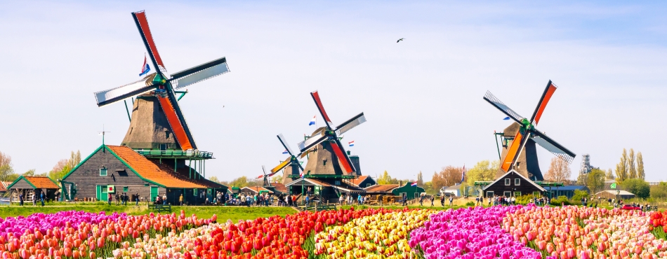 5 Memories You’ll Never Forget on a Holiday Vacations Tour of Holland 6