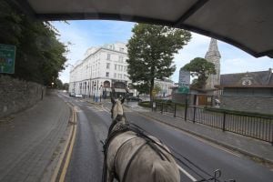 Jaunting Cart Ride in Killarney