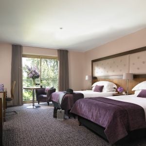 Dunboyne Castle Hotel & Spa Twin Room