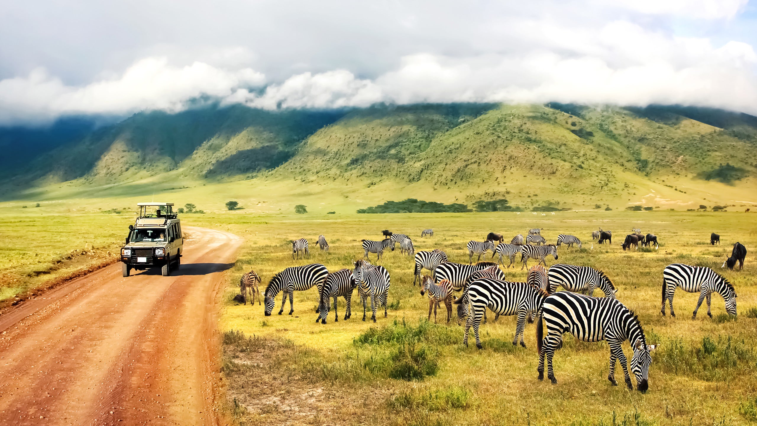 Tanzania Safari Adventure