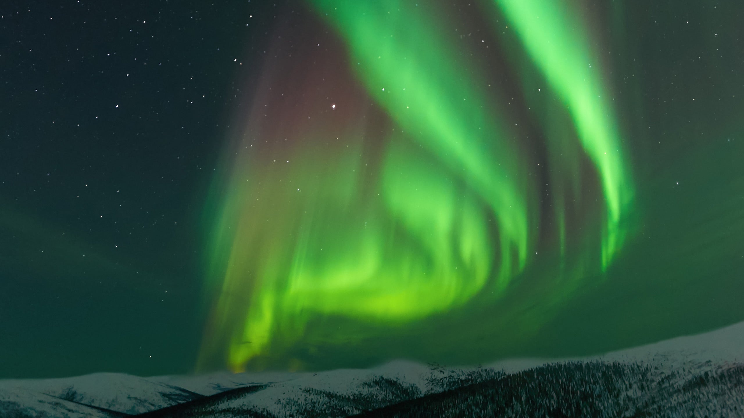 Aurora Borealis