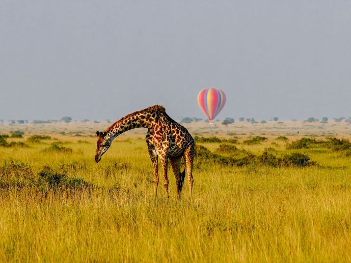 Safari Hot Air Balloon Ride