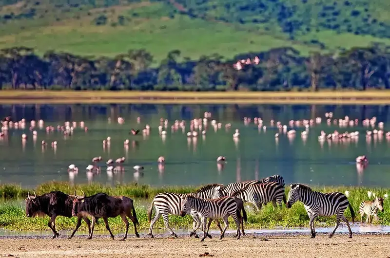 Ngorongoro Conservation Area