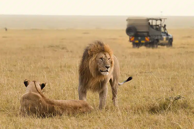 Maasai Mara National Reserve