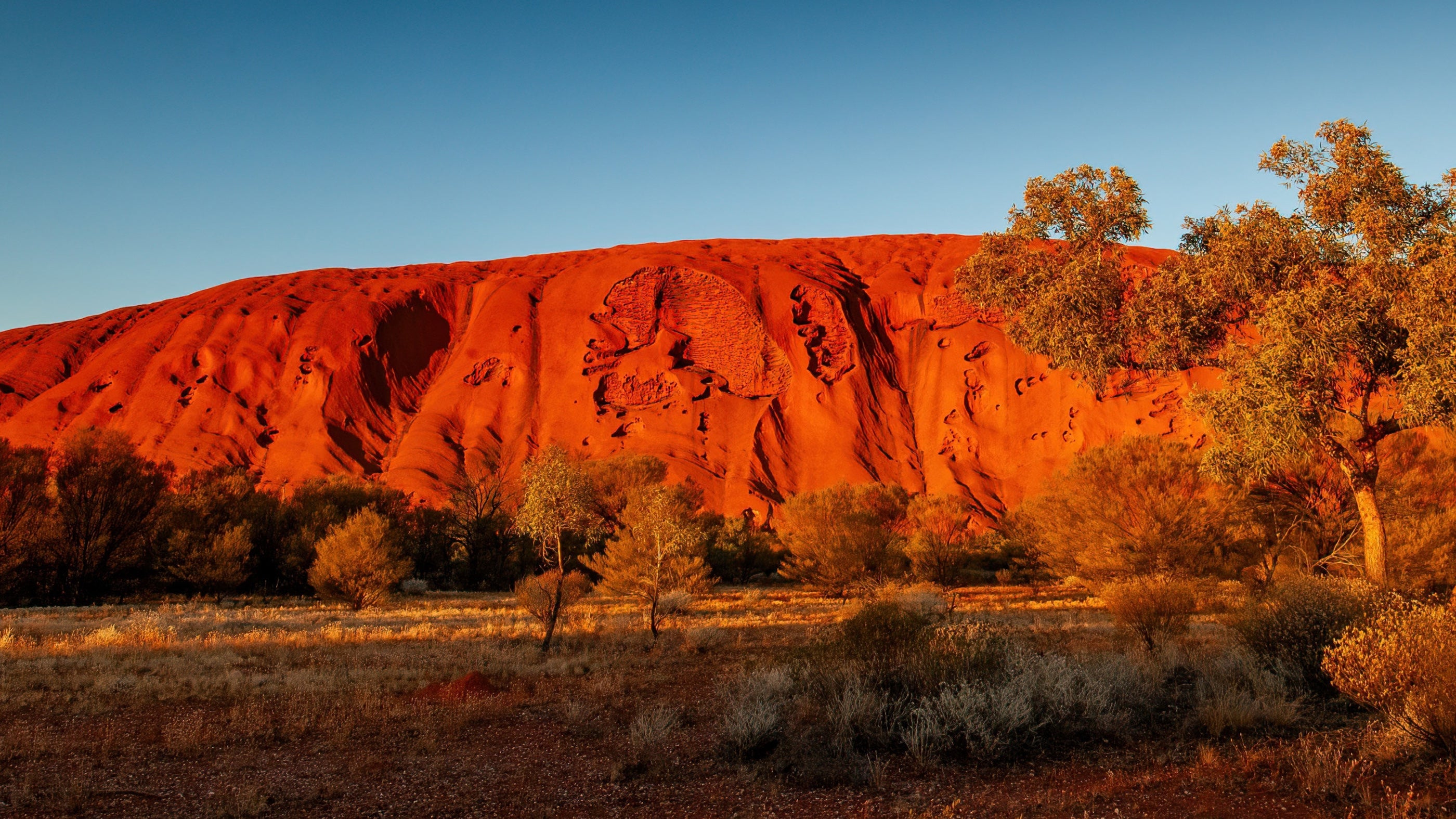 AUOZ - Signature Australia