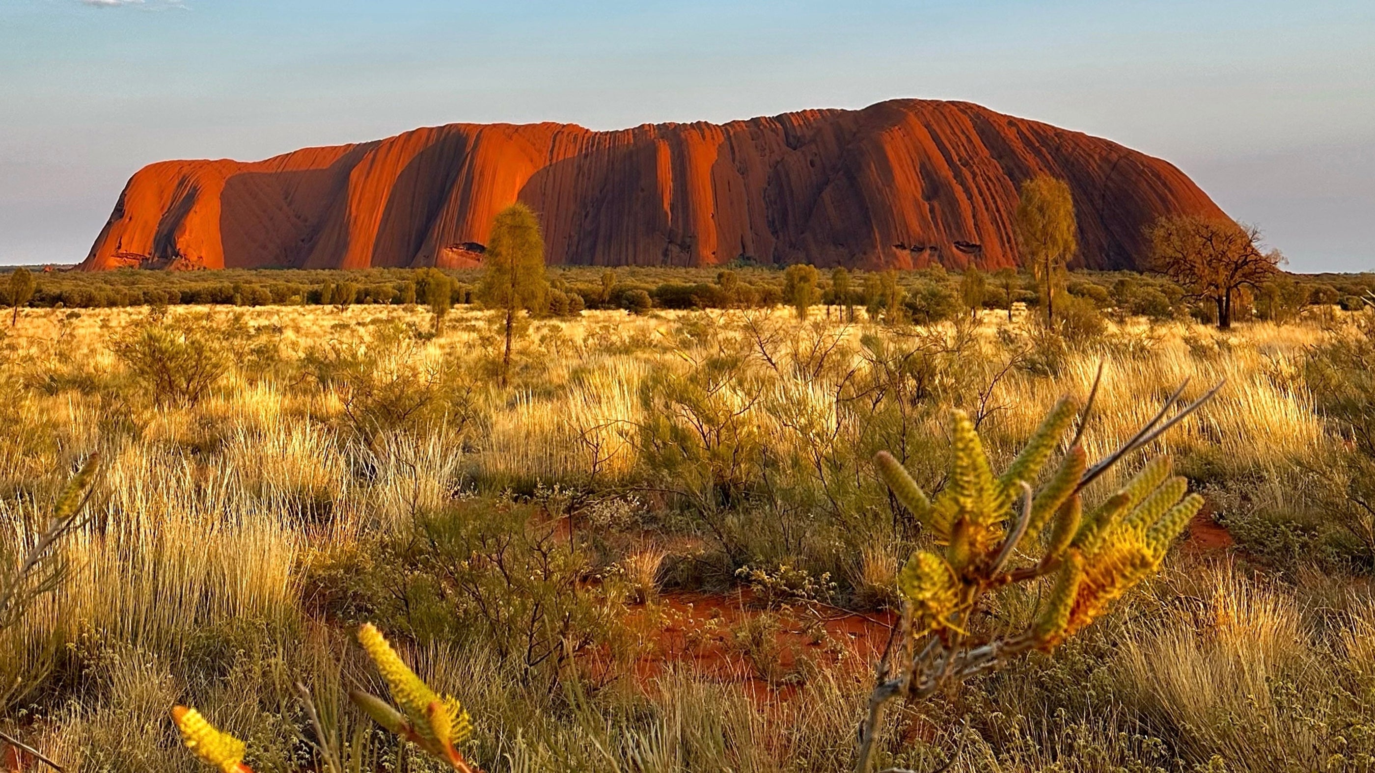 AUOZ - Signature Australia