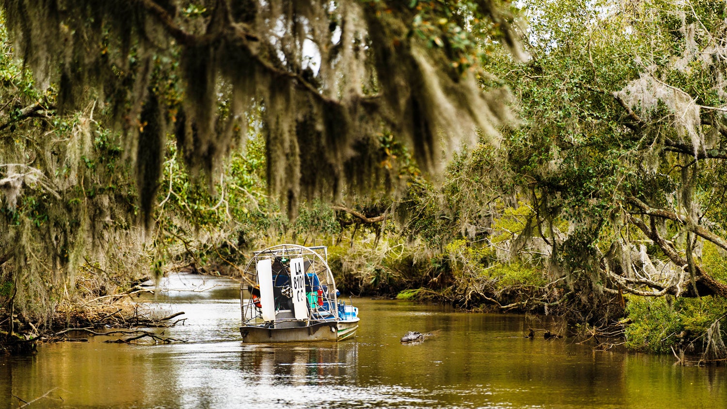 A Taste of the Bayou State & French Quarter - SOFL - Travel Show