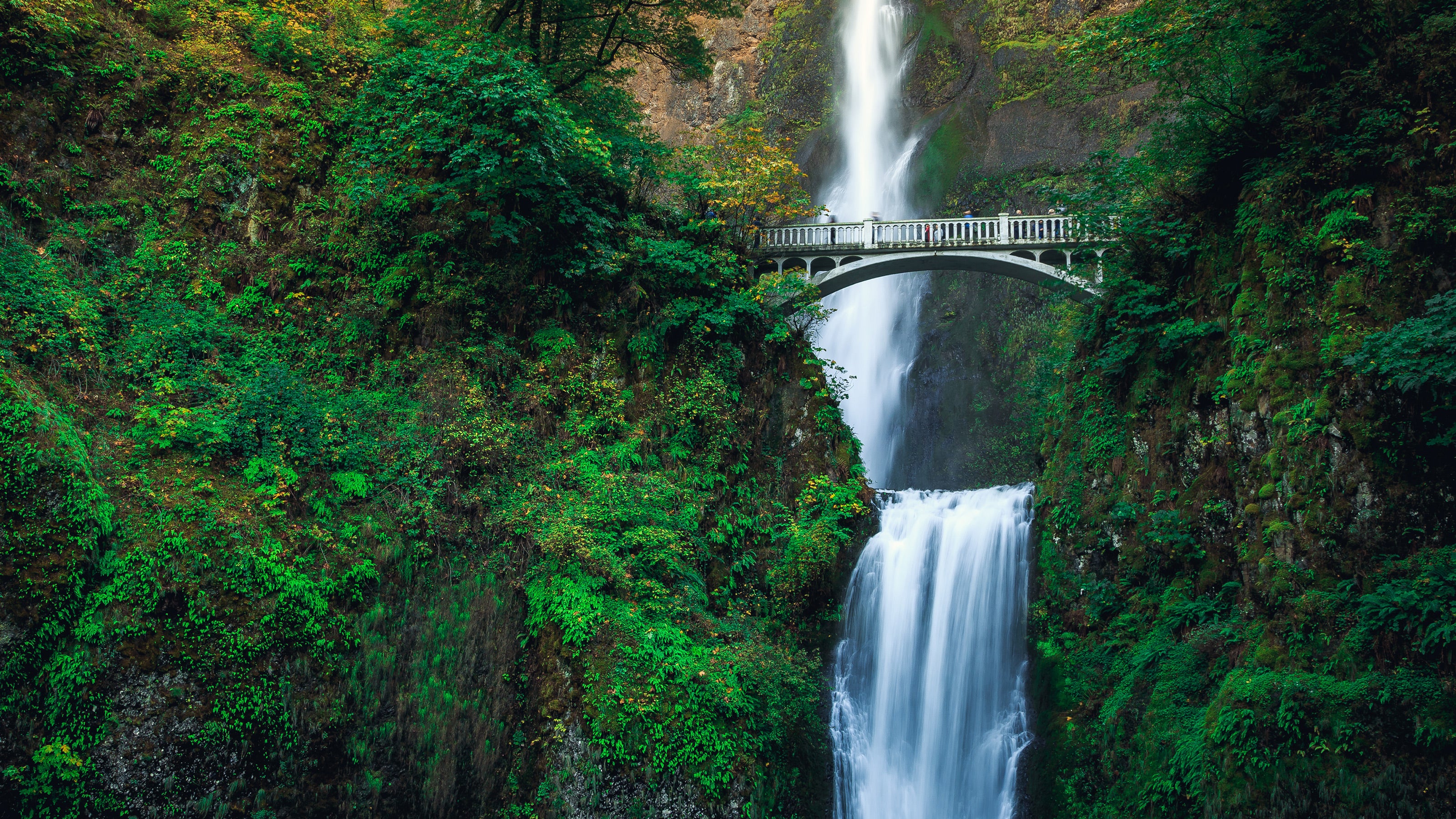 WECW - Pacific Northwest & Columbia River Gorge