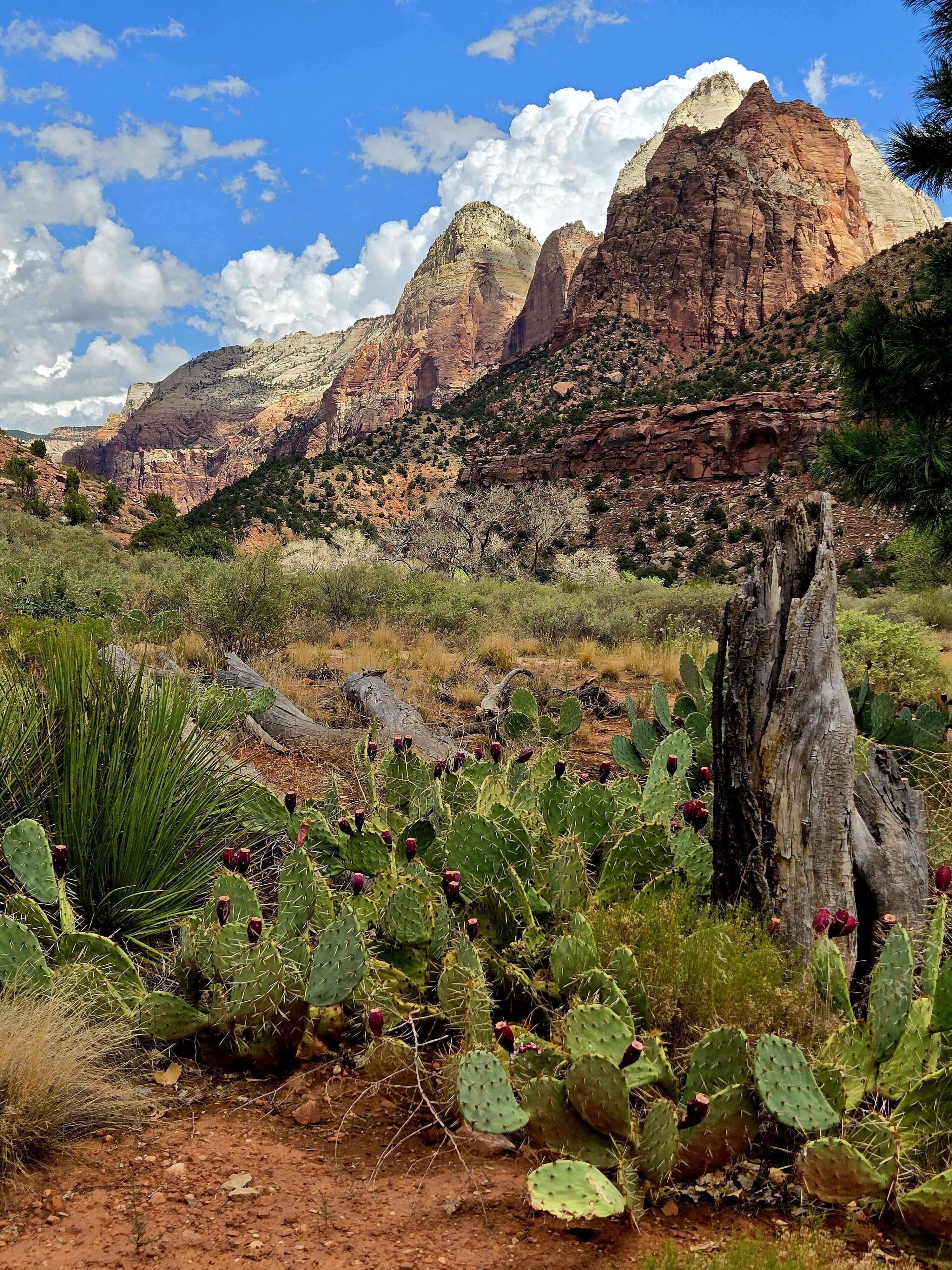 Sandra C. - Bryce, Zion and the Grand Canyon