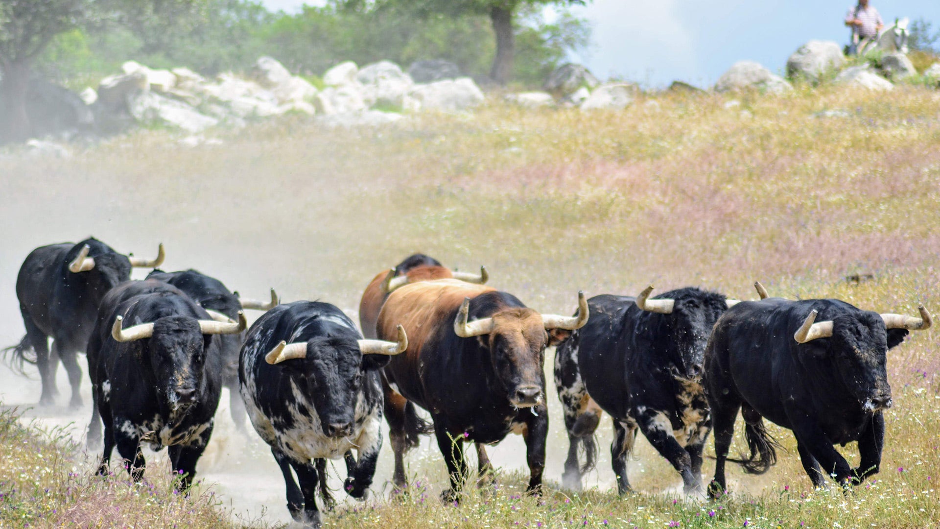 Finca La Capitana ranch tour