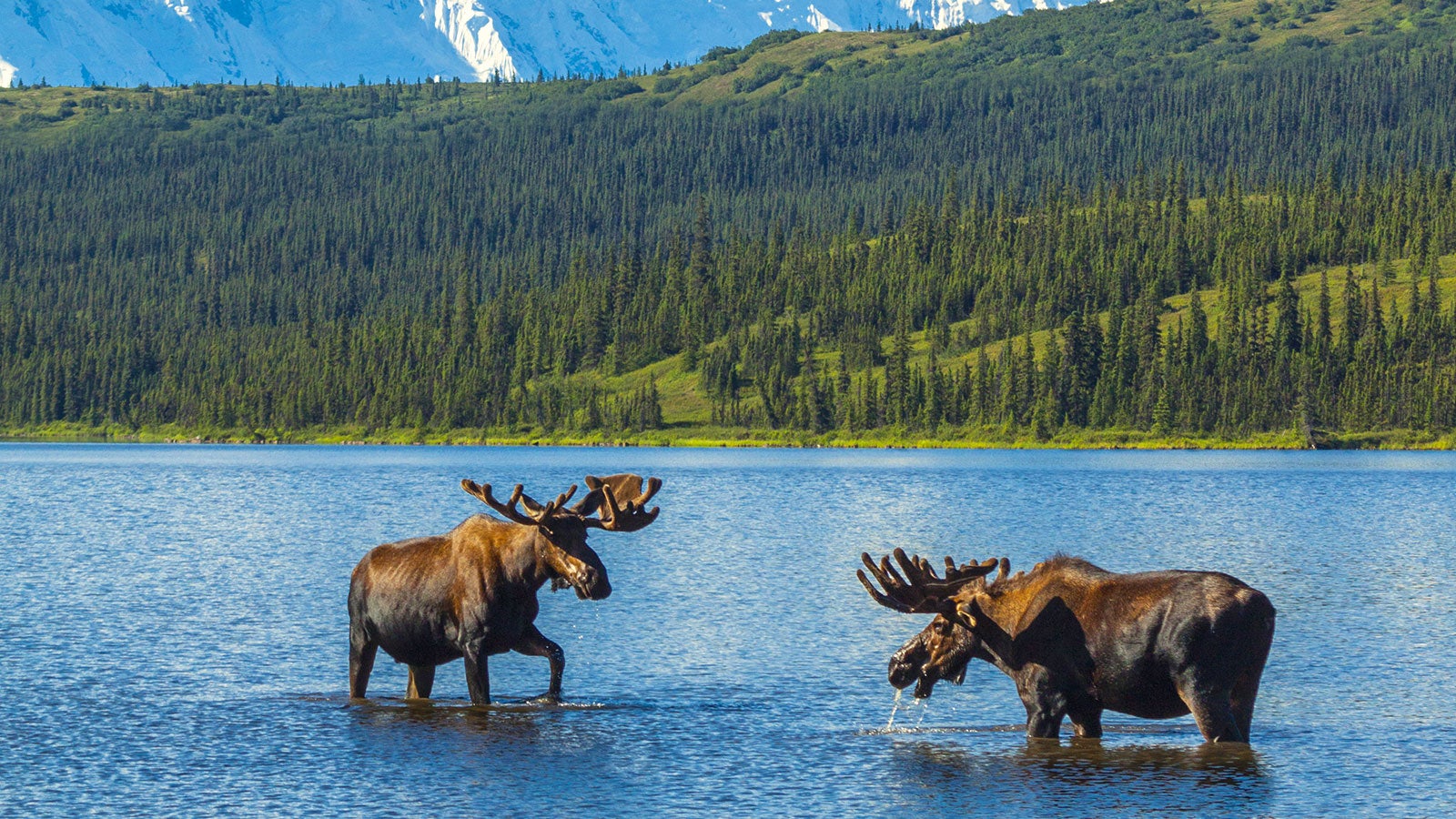 Two National Parks