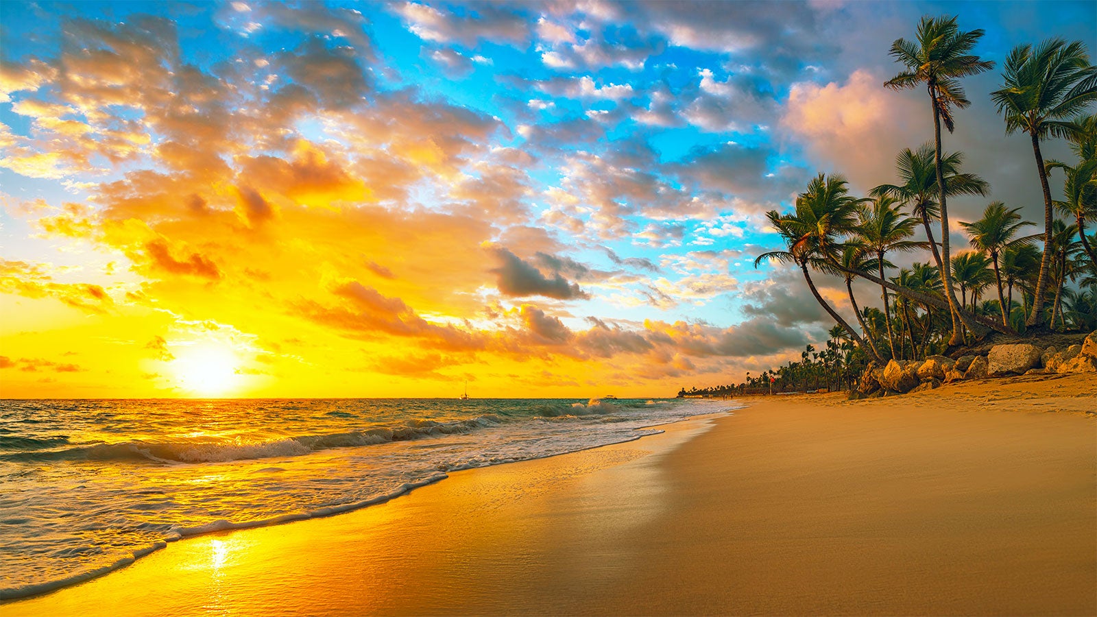 Hawaii Excursion Offer