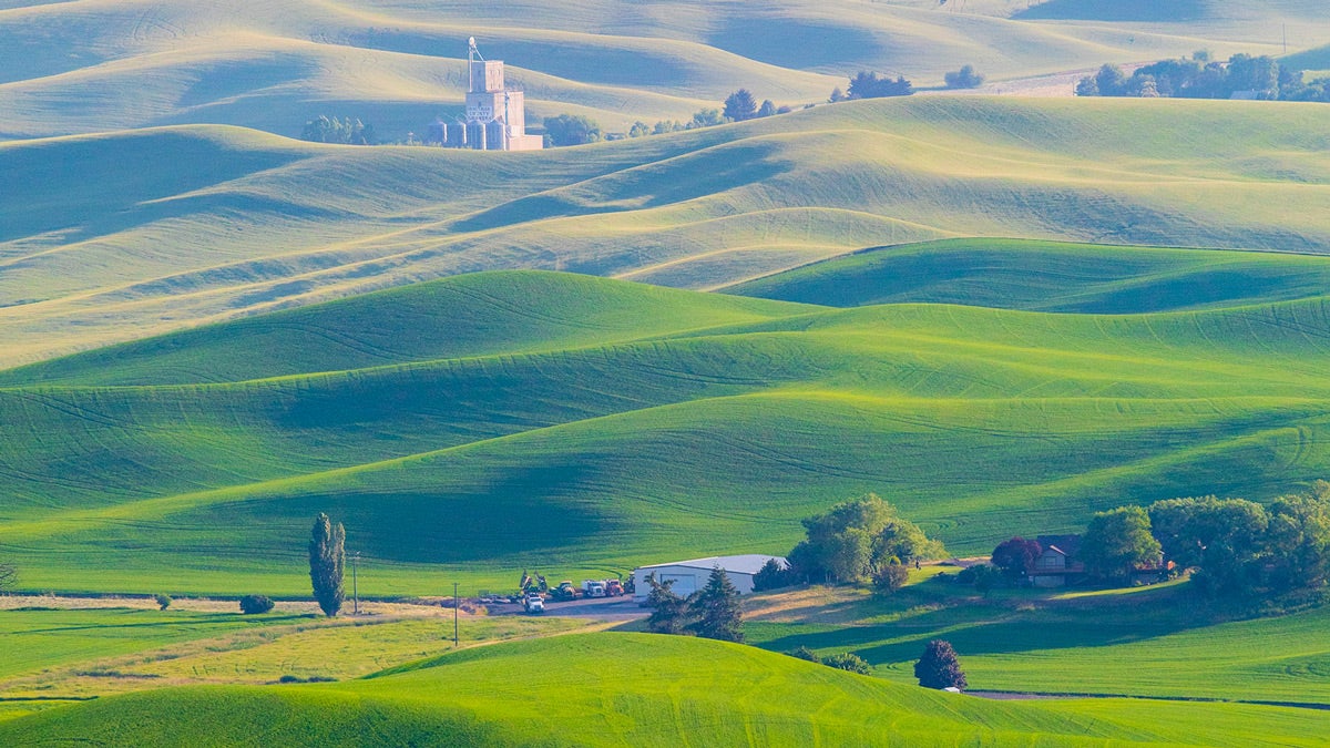 Palouse Region