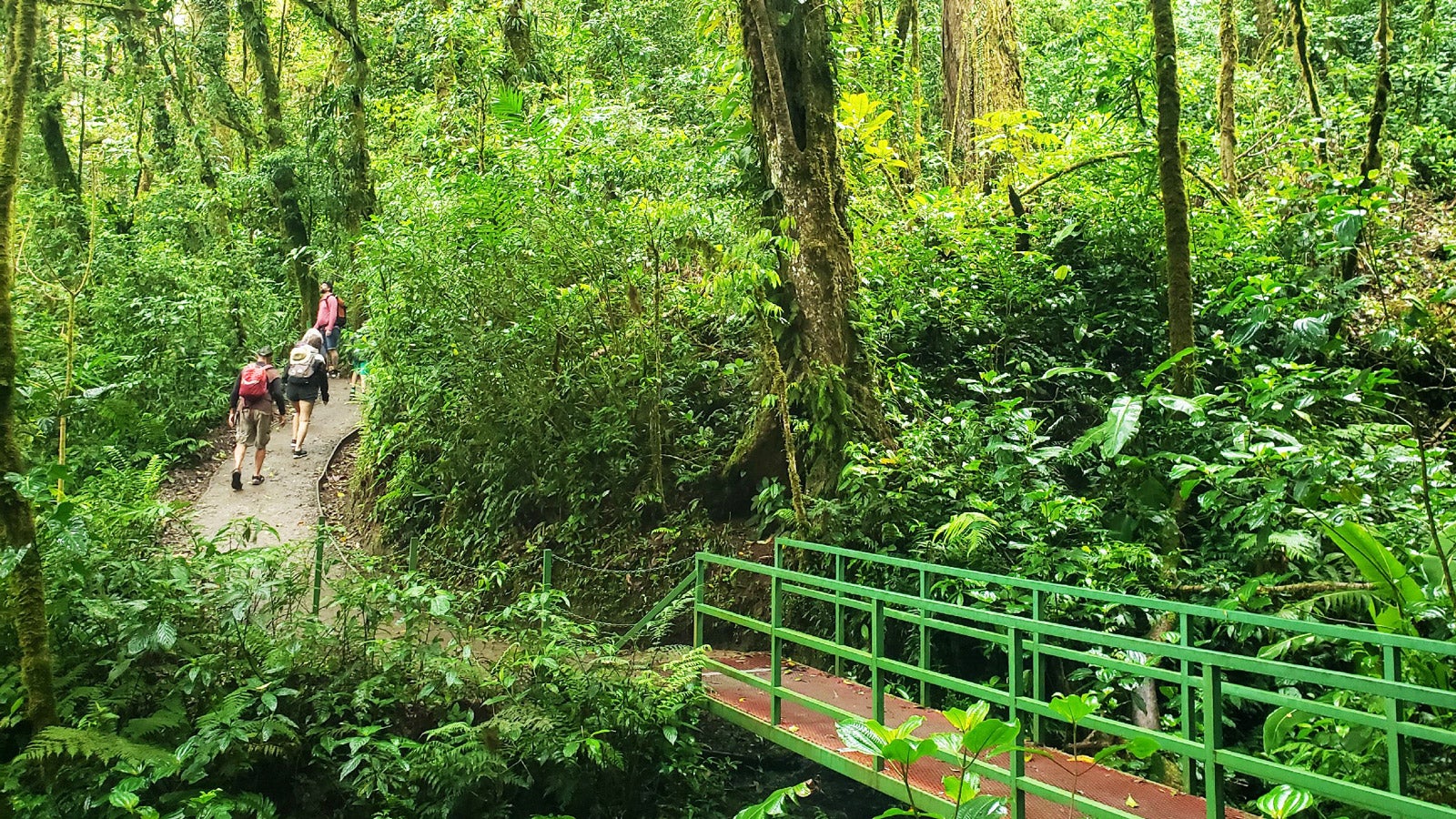 Monteverde Cloud Forest Reserve 