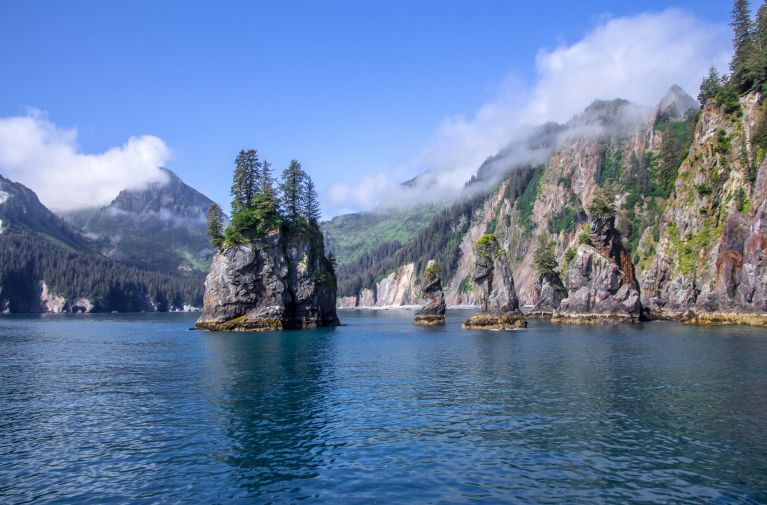 Kenai Fjords Cruise
