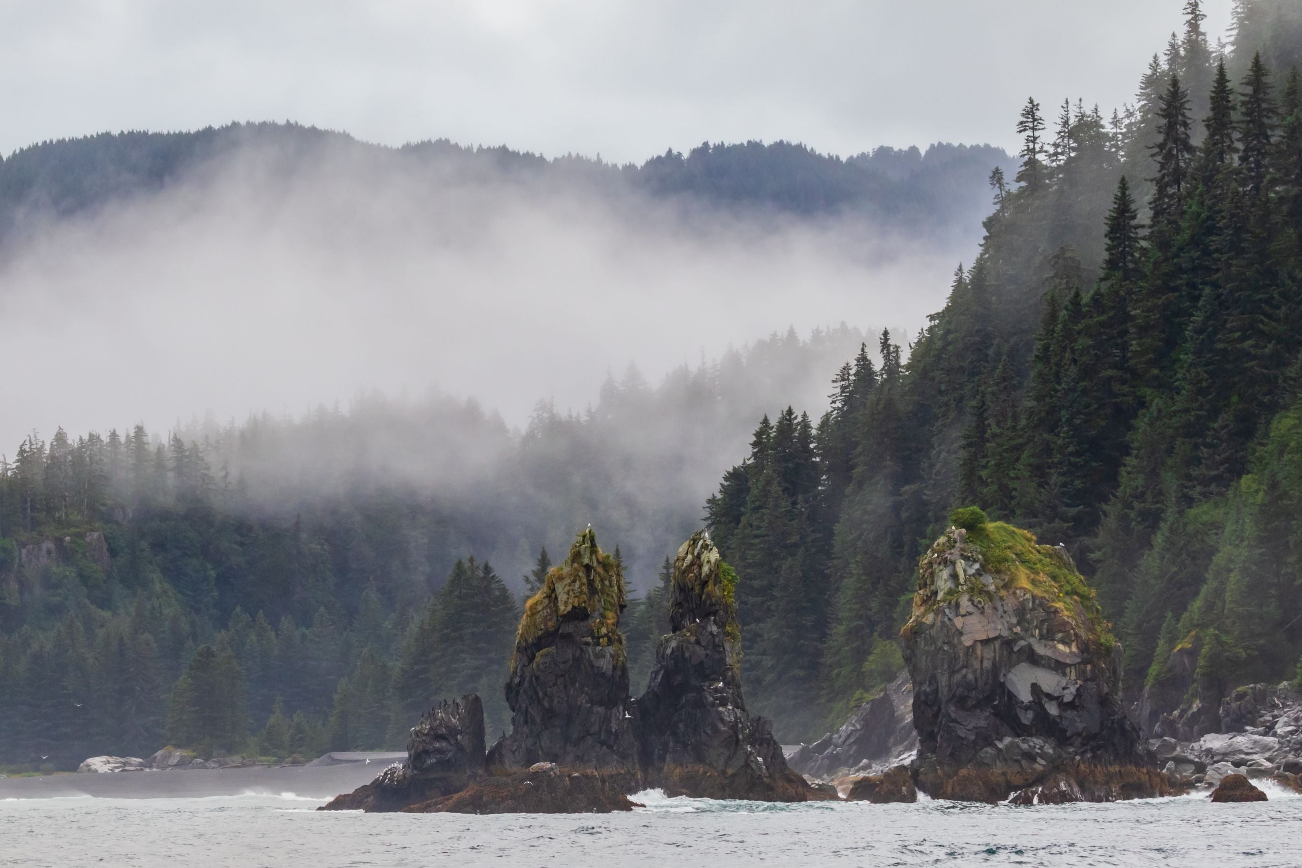 The Alaska Railroad to the Kenai Peninsula