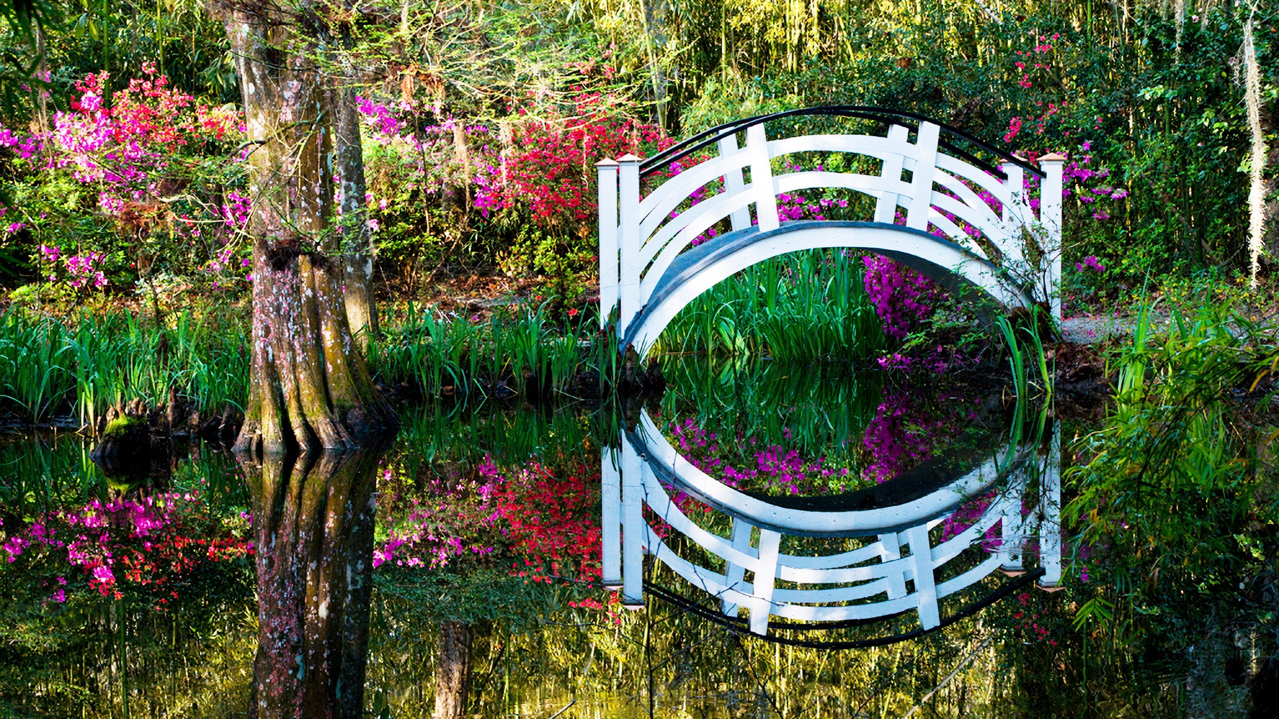 Magnolia Plantation and Gardens