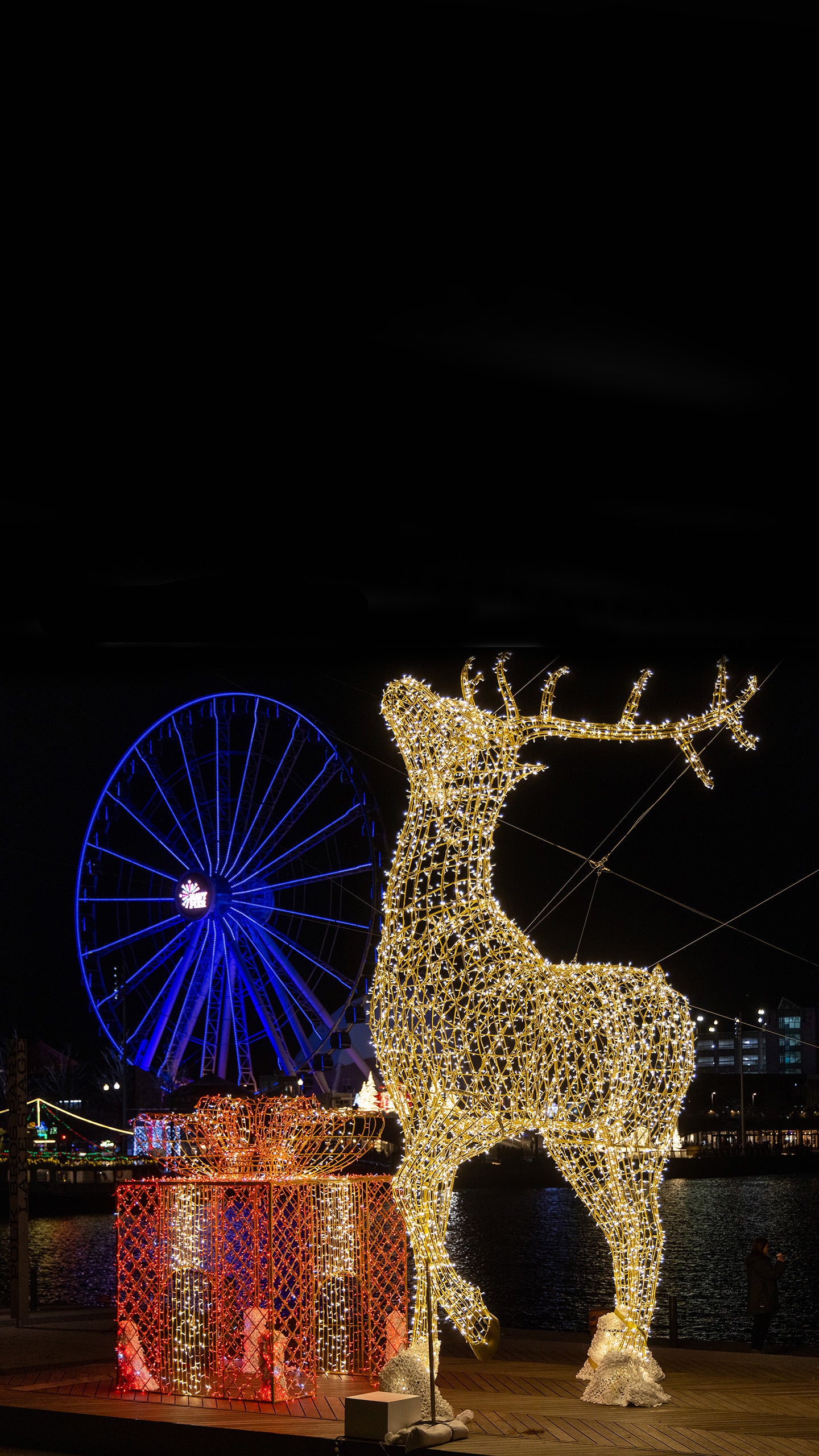 Navy Pier