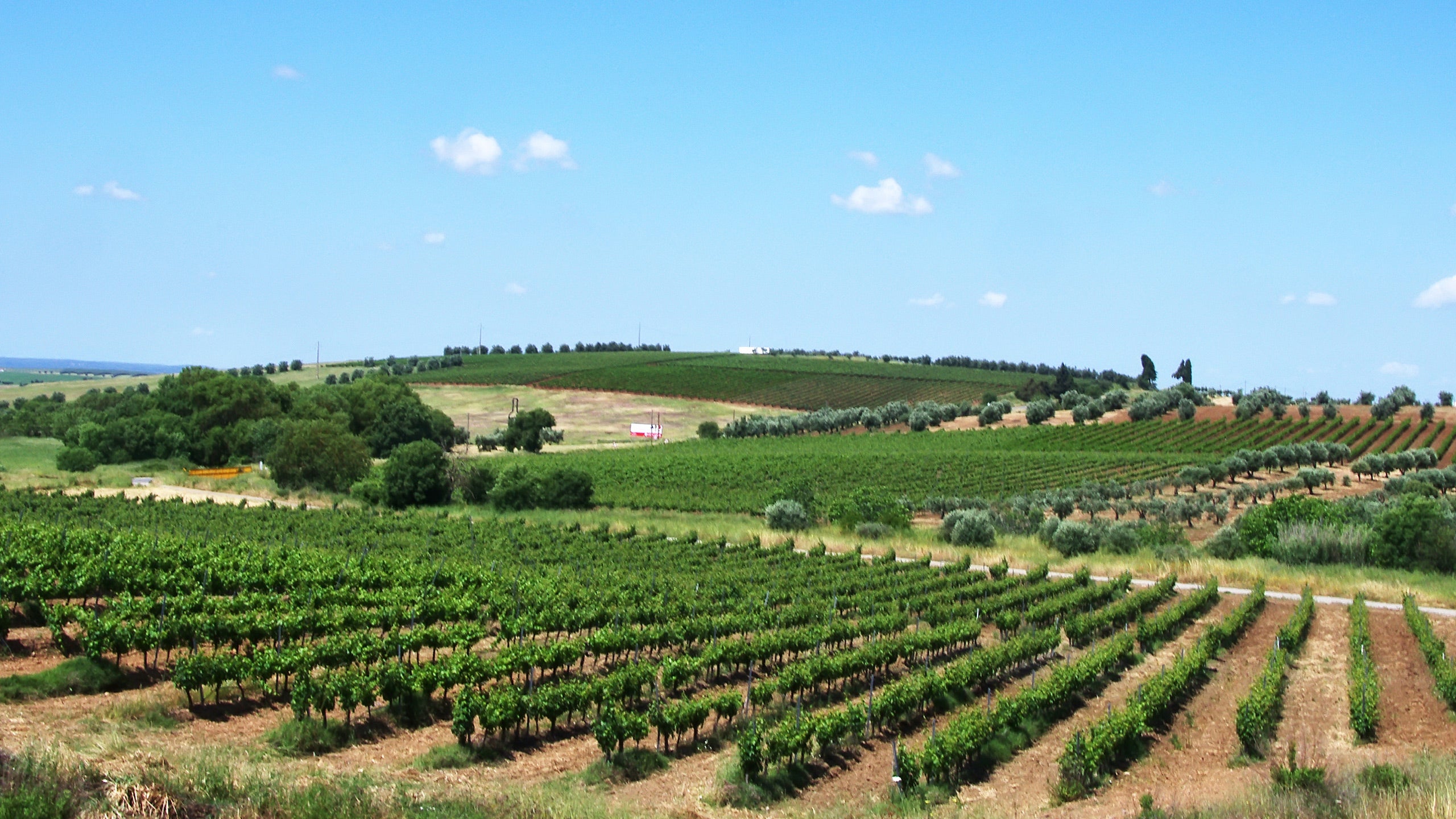 Alentejo Region