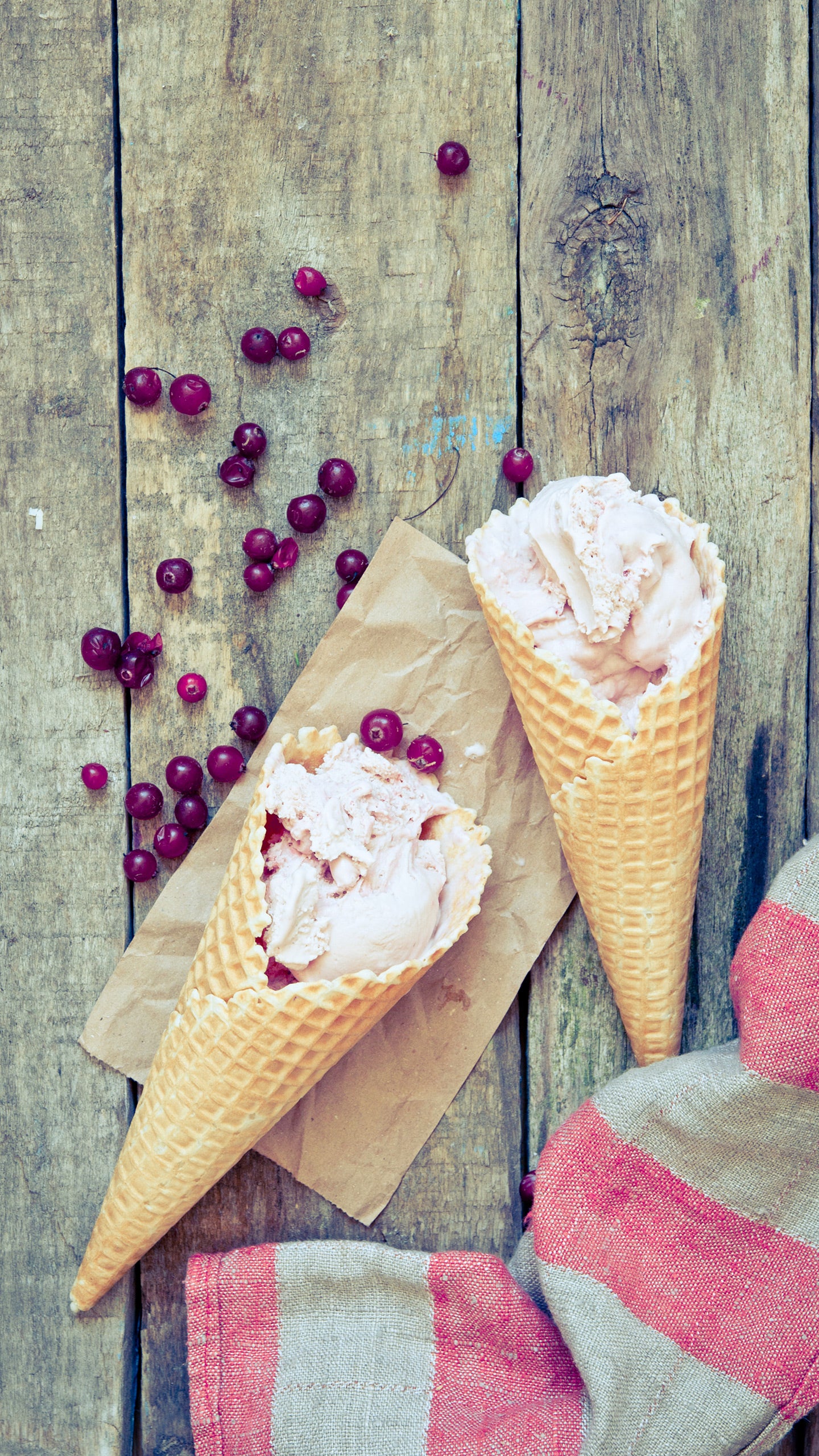 Discover Cranberries