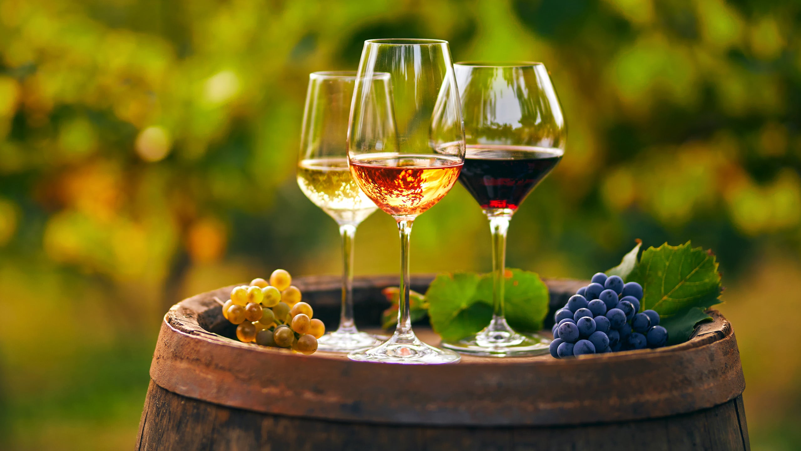 Villa Bellezza Winery