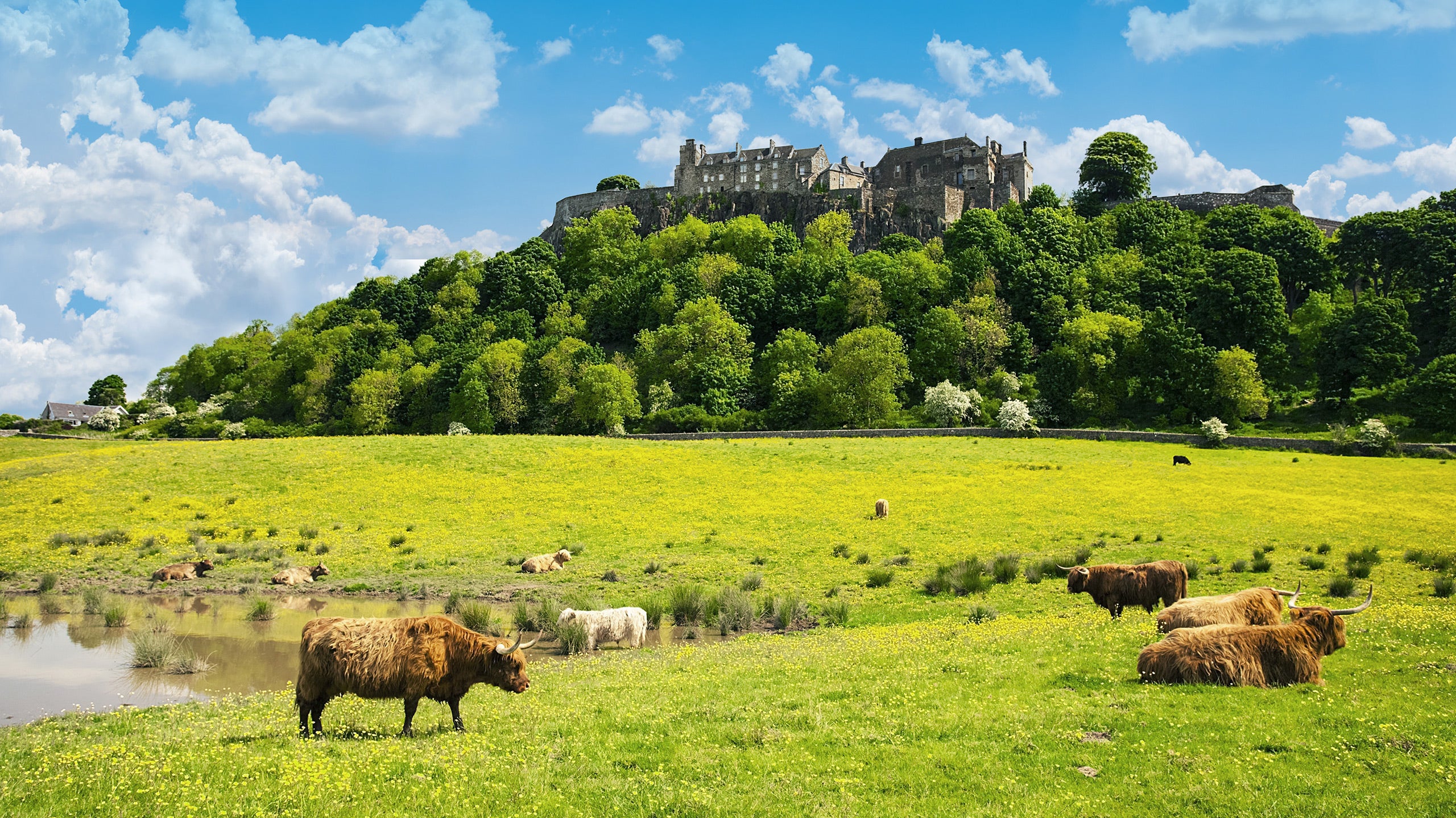 Scotland’s Glens & Highlands