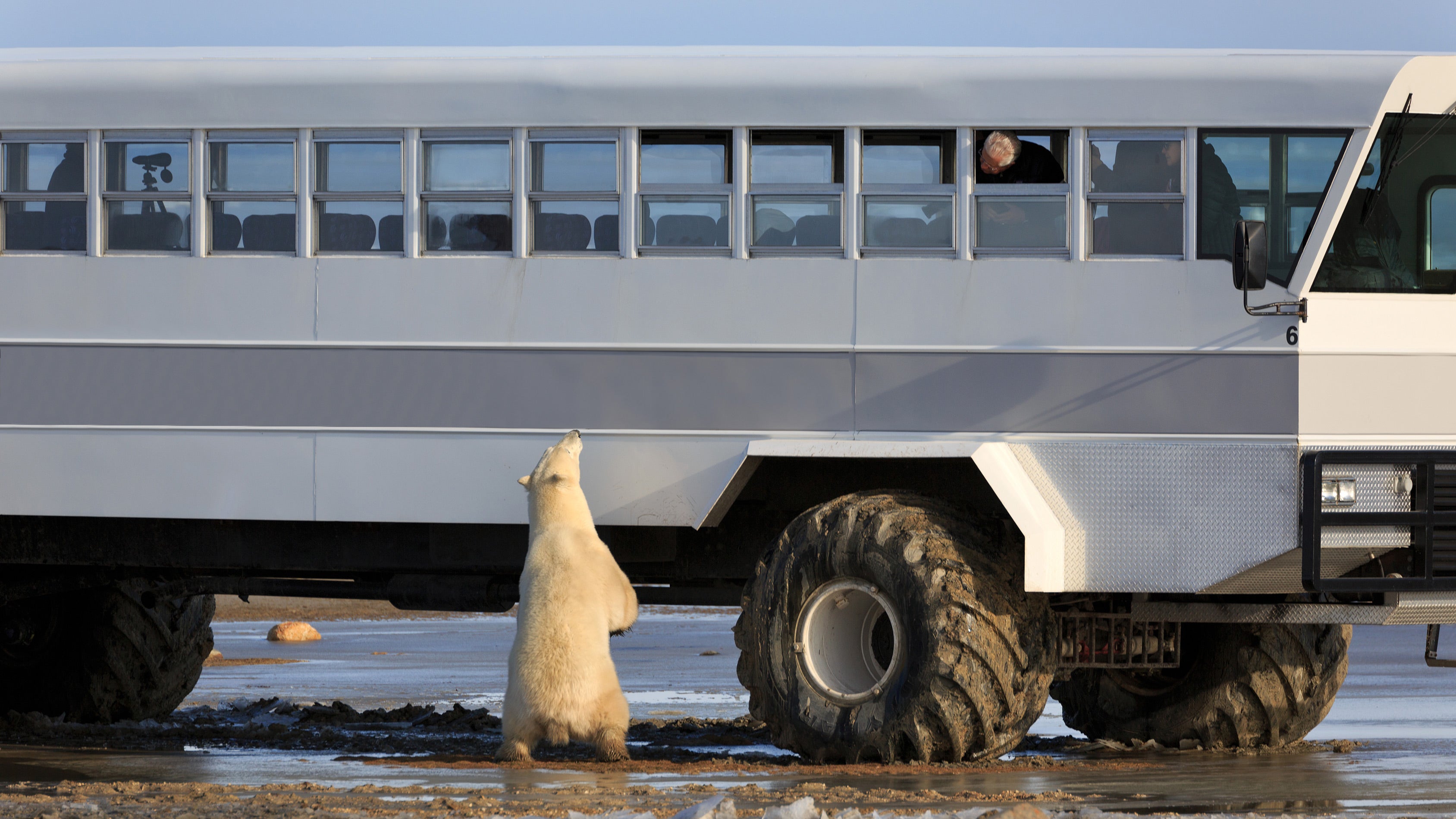 Tundra & Cruise Explorations