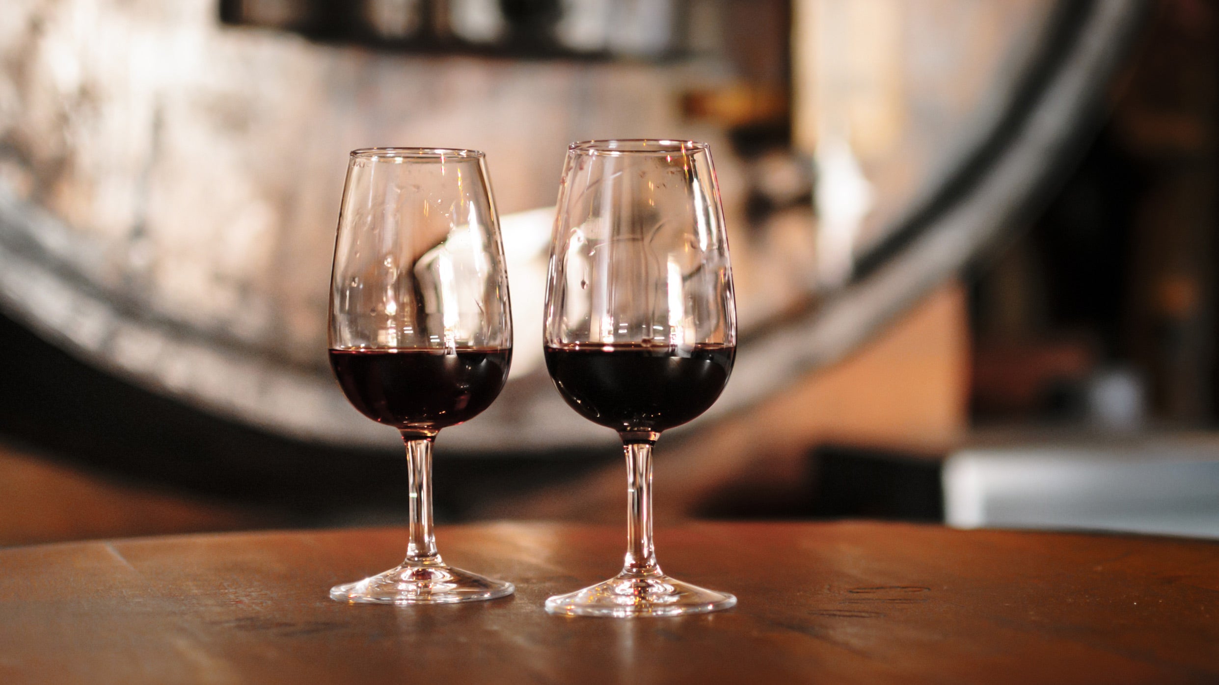 Konavle Wine Tasting