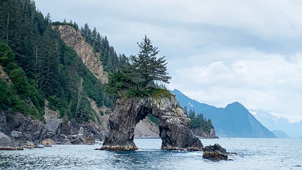 Kenai Fjords National Park