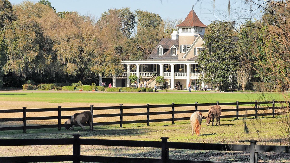 Magnolia Plantation and Gardens