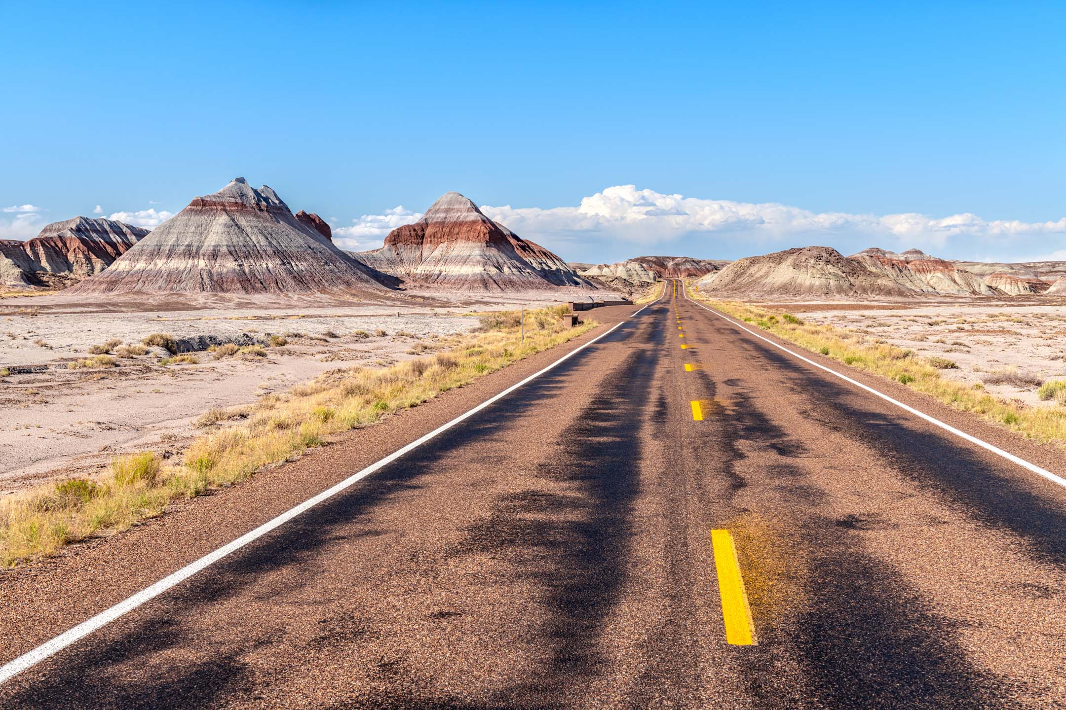 Petrified Forest National Park