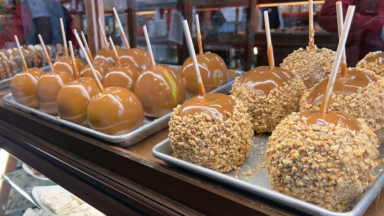 Savannah City Market & Ponce City Market