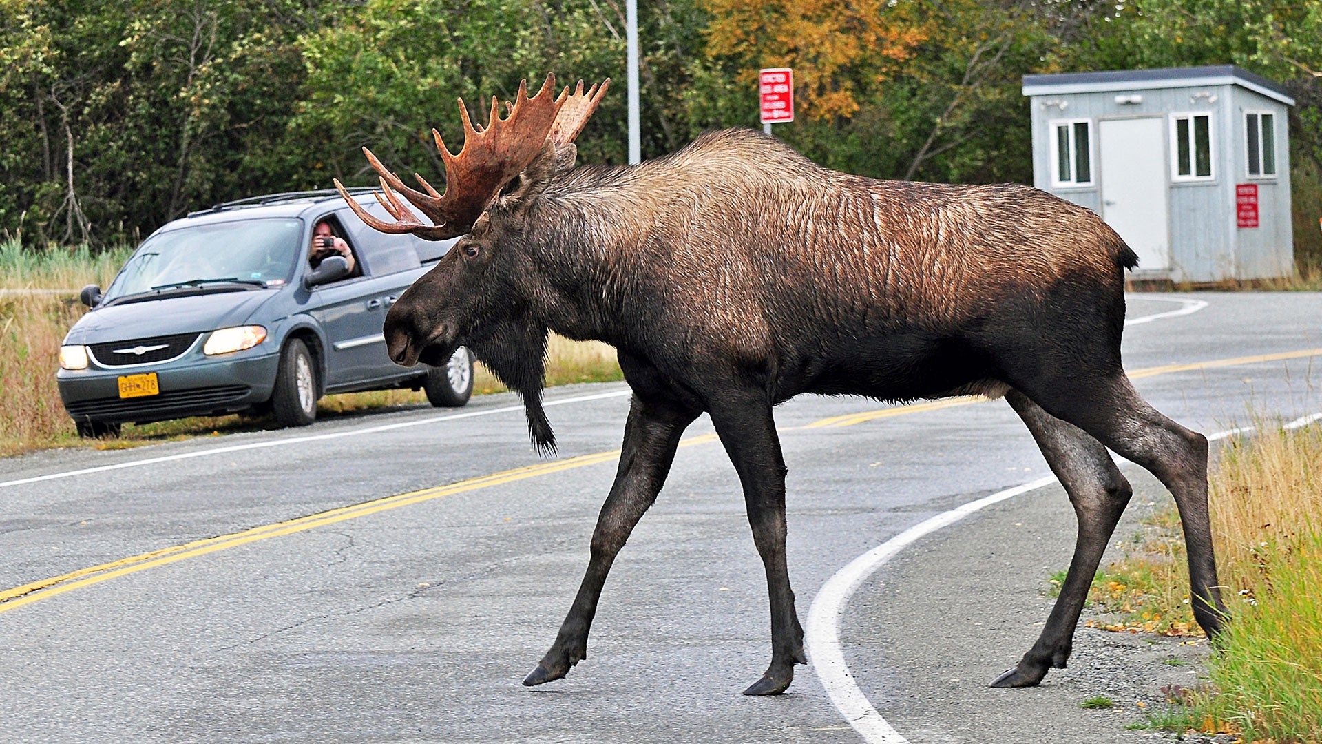 Alaska