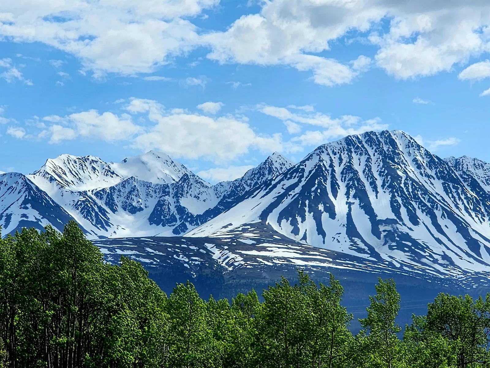 Guest photo of Alaskan Mountain Scenery