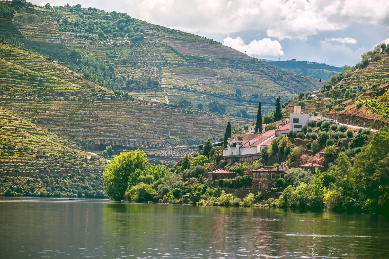 Douro River Cruise: A Landscape Sculpted by Hand and Time