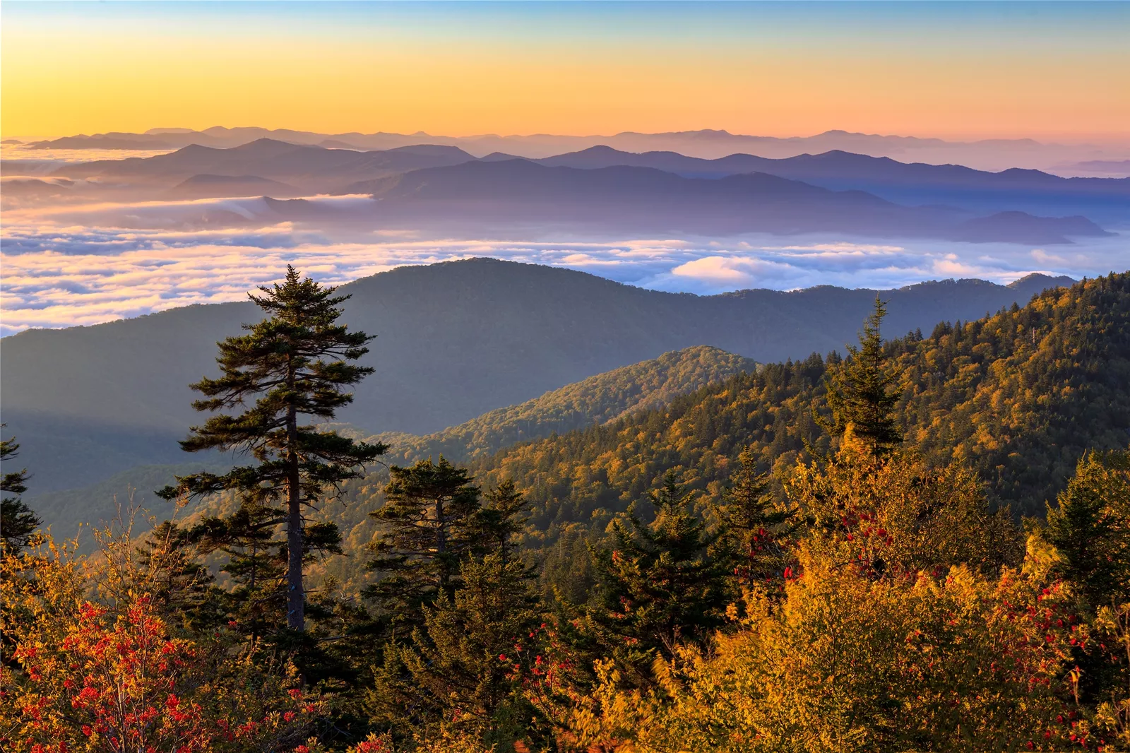 Great Smoky Mountains National Park