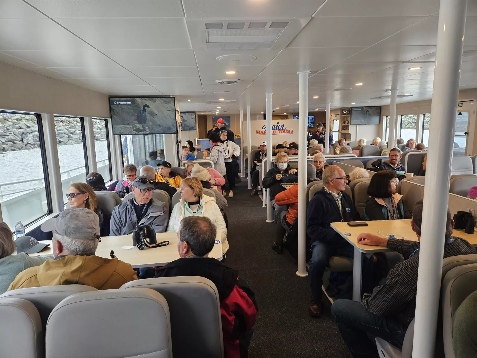 Guest photo of Kenai Fjords National Park Narrated Cruise