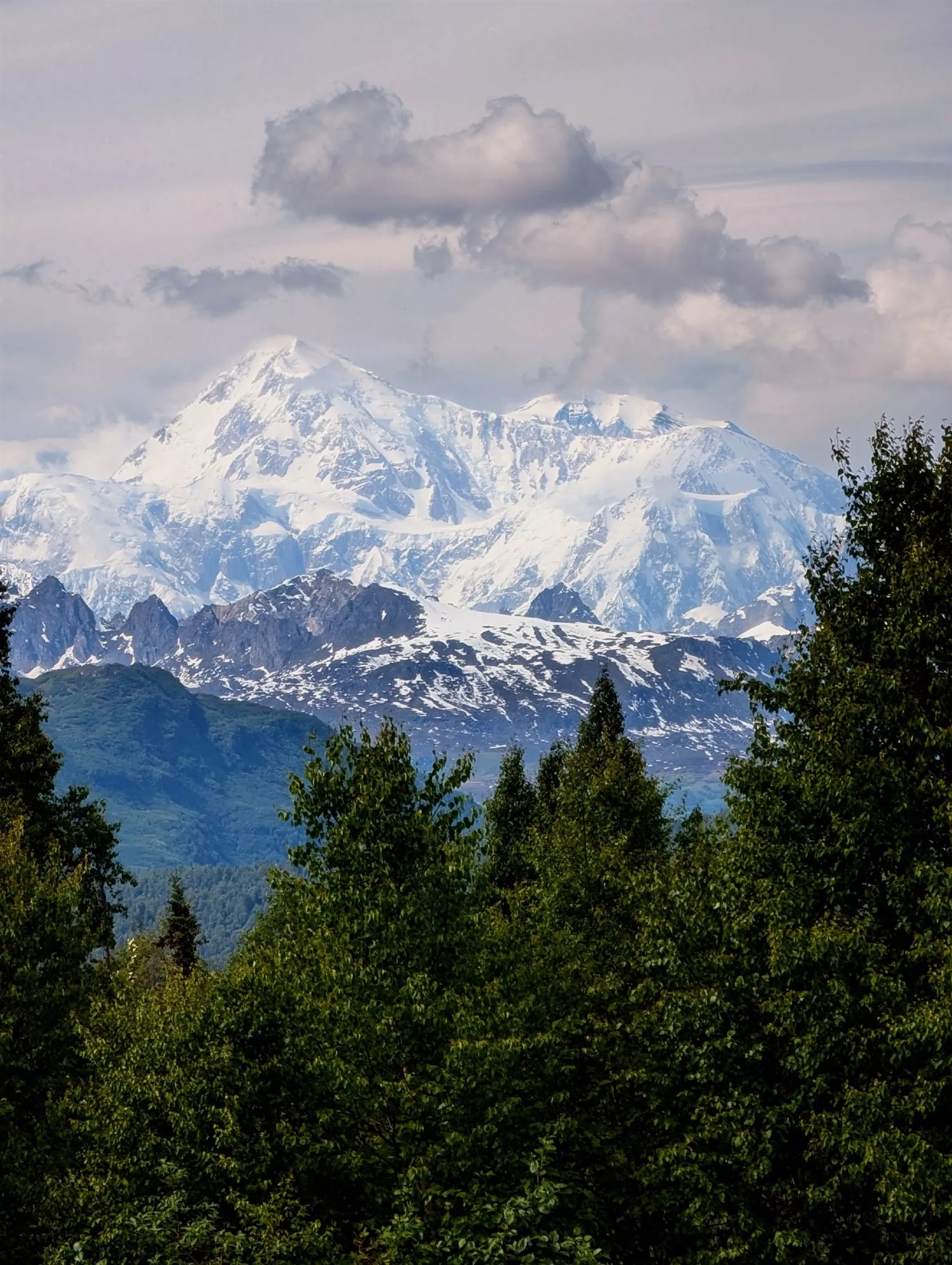 Guest photo of Mount Denali