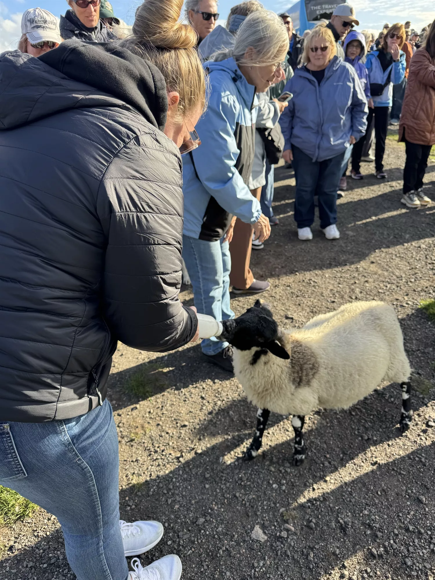 Holiday Vacations guests at Farm in Kingussie