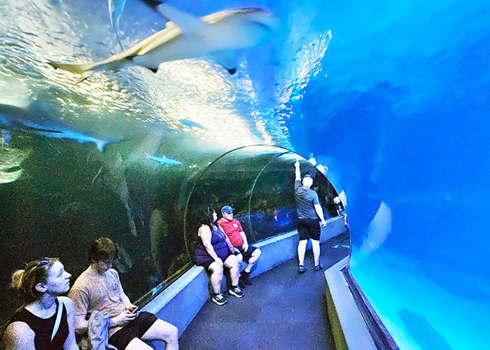 Maui Ocean Center