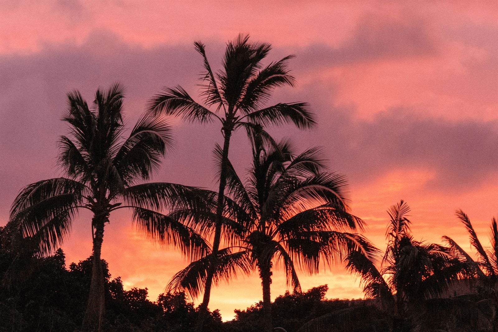 Guest image of a Hawaiian sunset