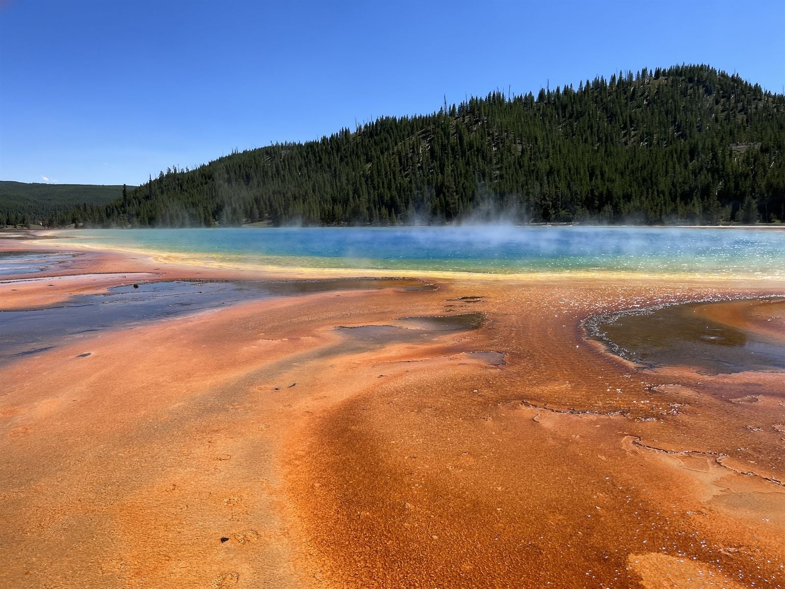 Guest photo at Yellowstone National Park