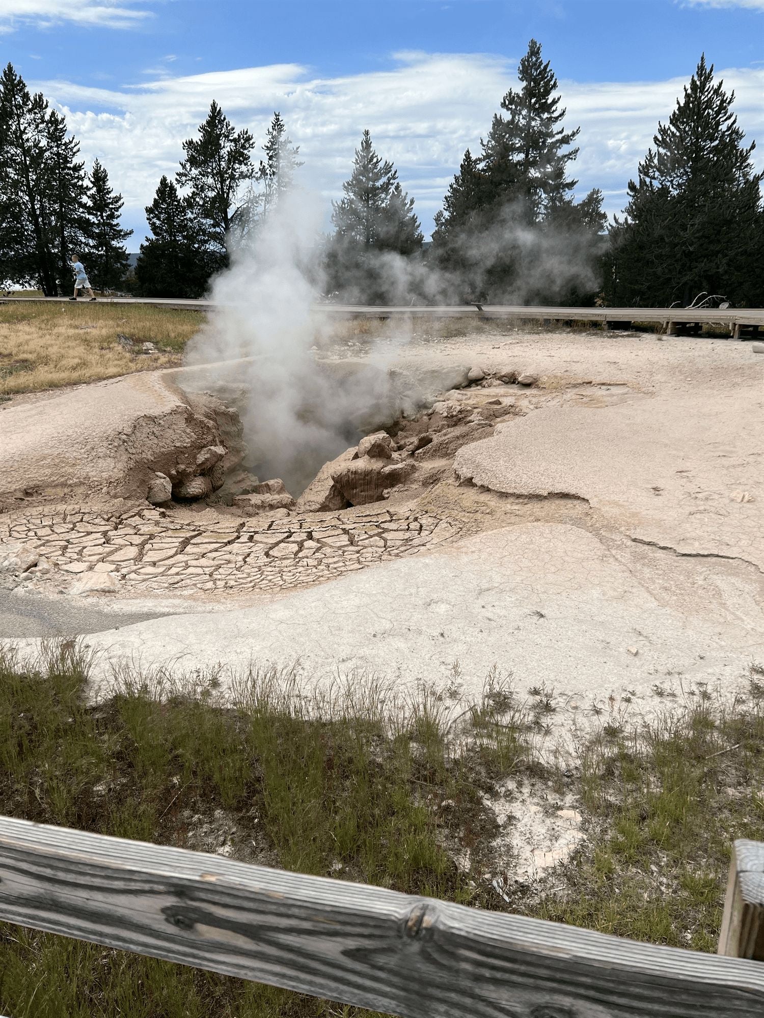 Guest photo at Yellowstone National Park