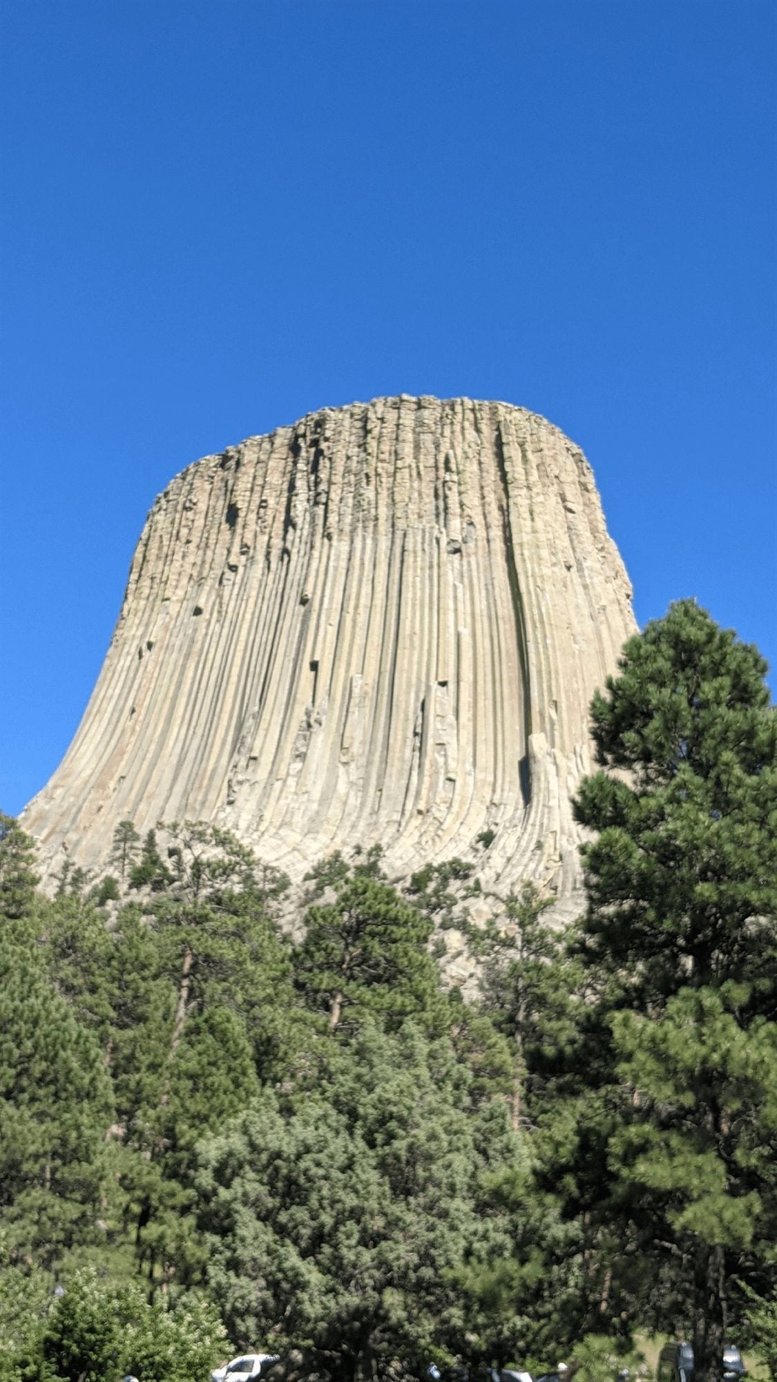 Guest photo of Devil’s Tower