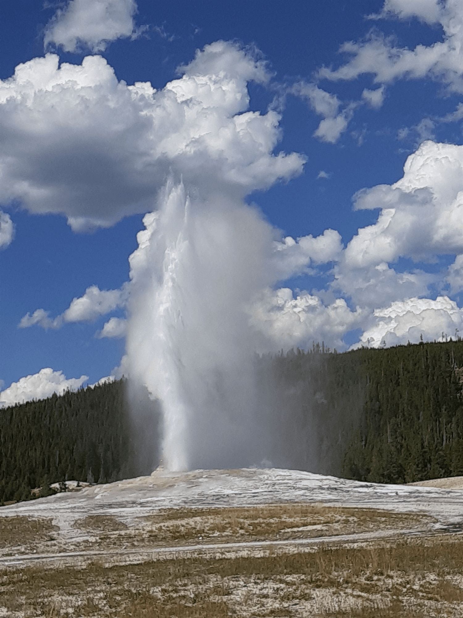 Guest photo of Old Faithful at Yellowstone National Park