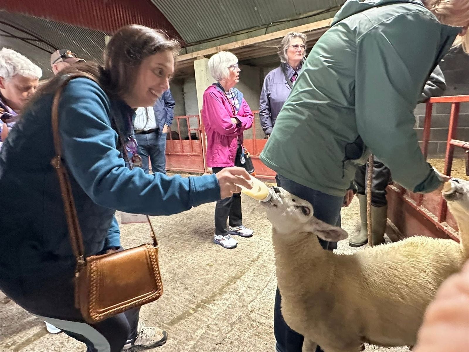 Guests at Rathbaun Farm, Ireland