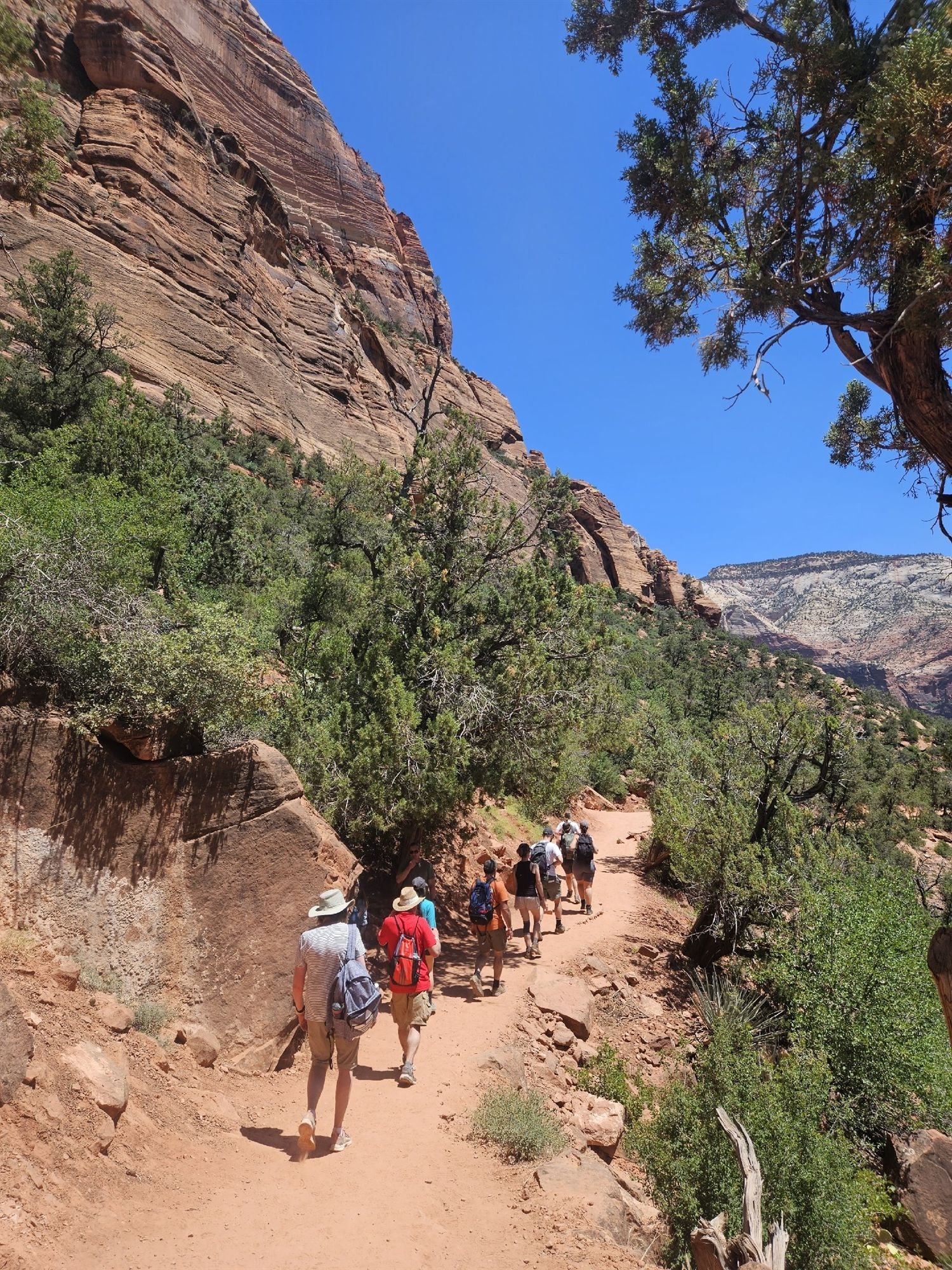 Guests hiking through Zion National Park